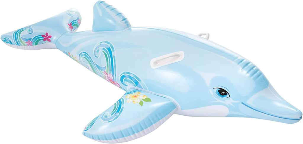 flotador delfin