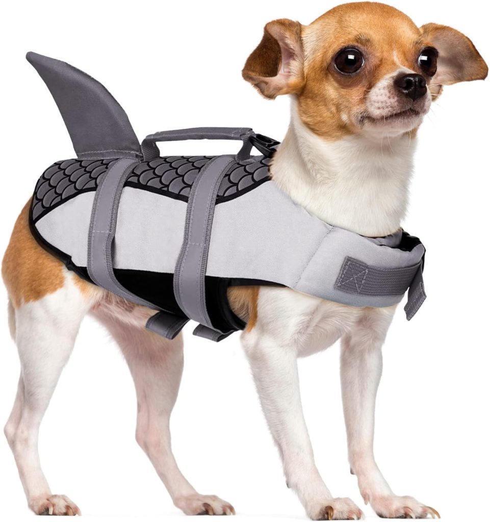 flotador perro aleta tiburon