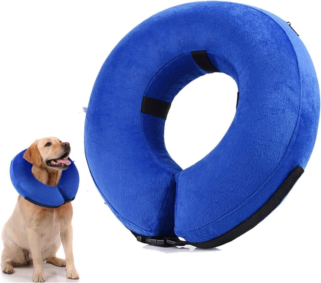 flotador perro circular cuello